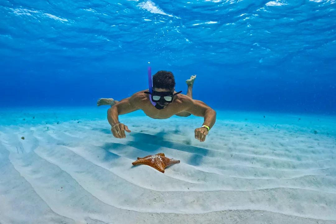 Snorkel en el Arrecife Mesoamericano